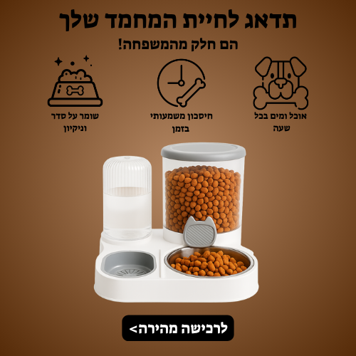ניסיון